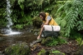 Фотосумка National Geographic NG RF 2450 Rain Forest