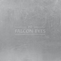 Отражатель Falcon Eyes RR-3570GS